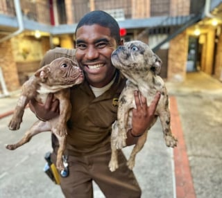 Illustration de l'article : 16 nouvelles photos prises par le livreur devenu célèbre pour l'amour qu'il porte aux chiens de ses clients