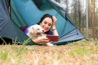 Illustration de l'article : 7 choses à savoir avant de partir camper avec votre chien