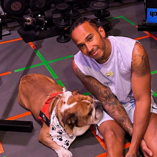 Illustration de l'article : Lewis Hamilton, célèbre pour son talent, mais aussi pour son amour des chiens