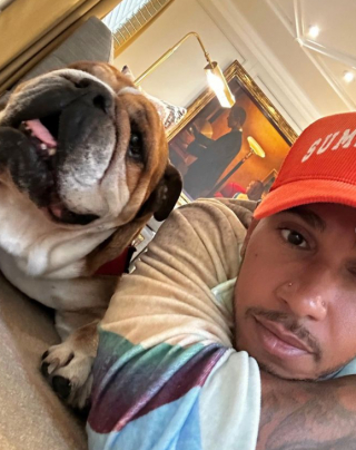 Illustration de l'article : Lewis Hamilton, célèbre pour son talent, mais aussi pour son amour des chiens