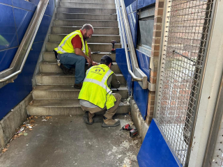 Illustration de l'article : Cachés dans les murs d'une station de métro, une chatte et ses chatons obtiennent une chance de vivre dans un foyer aimant