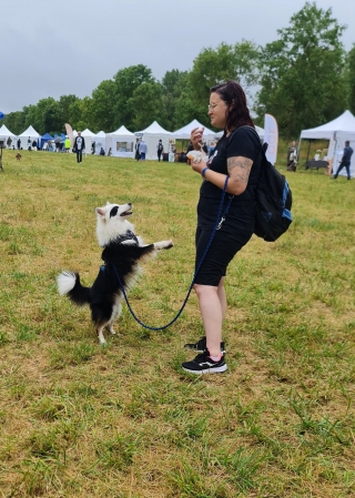 Illustration de l'article : Woopets a participé à la première édition de Canidays avec Hill's avec sa chienne Lizzy et découvert des activités canines uniques