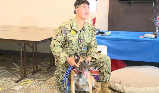 Illustration de l'article : Un chien réformé de l'armée et son maître se retrouvent après un an et demi de séparation grâce à une association