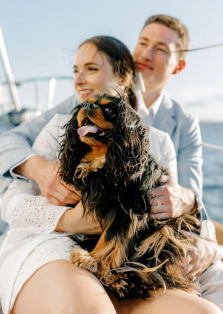 Illustration de l'article : Un homme demande sa petite amie en mariage, et offre un jouet en forme de bague à sa chienne adorée (vidéo)