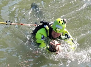 Illustration de l'article : Un pompier vient au secours d’un Chihuahua coincé sur un pont et se rend compte qu’il a affaire à un animal récalcitrant 