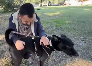 Illustration de l'article : L'acte héroïque d'un homme atteint de brûlures sévères en sauvant son chien de leur maison en flammes