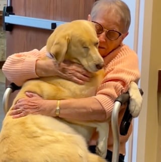 Illustration de l'article : Cette adorable chienne borgne se rend dans les maisons de retraite et répand le bonheur parmi les résidents (vidéo)