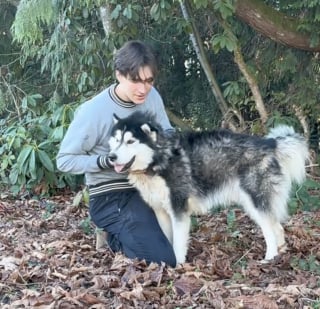 Illustration de l'article : Après un épisode traumatisant au refuge, un Husky explose de joie lorsqu’il rencontre une famille prête à lui offrir du temps et de l’attention (vidéo)