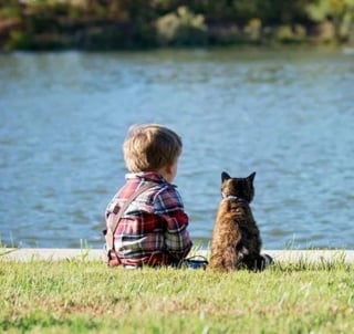 Illustration de l'article : 11 photos de chats et de chiens qui vous mettront immanquablement de bonne humeur