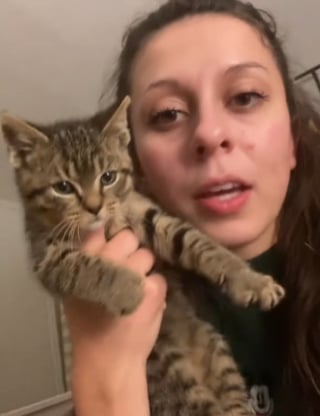 Illustration de l'article : Un chaton errant rejeté par sa mère et jouant dangereusement sur la route attire l'attention d'une jeune femme décidée à le sauver (vidéo)