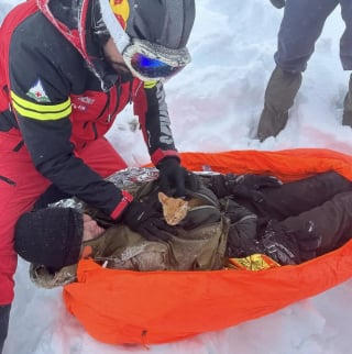 Illustration de l'article : Un chat sauve la vie de son propriétaire tombé dans un ravin enneigé en fuyant la guerre et veille sur lui sur son lit d'hôpital