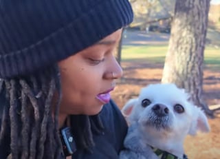 Illustration de l'article : Un chien abandonné à la fourrure sale et emmêlée trouve une aide providentielle en suivant une jeune femme et son Yorkshire dans la rue (vidéo)