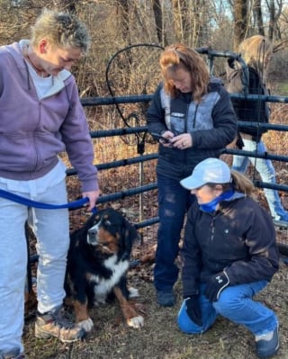 Illustration de l'article : Une chienne en fugue depuis 6 mois est sauvée grâce à un enclos posé à la hâte sur une propriété privée