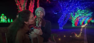 Illustration de l'article : Un signalement permet à ce chien enchaîné à une clôture et négligé de connaître son premier Noël au chaud dans une famille (vidéo)