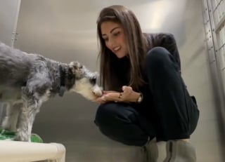 Illustration de l'article : Trop effrayée en arrivant dans sa nouvelle maison, une petite chienne fait l’amère expérience d’un retour au refuge (vidéo)