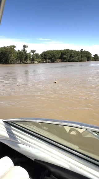 Illustration de l'article : Une virée en bateau tourne à la mission de secours pour un chien abandonné nageant dans une rivière (vidéo)