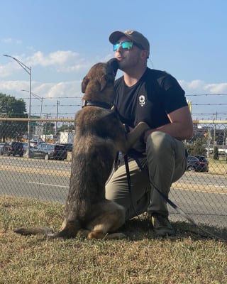 Illustration de l'article : Une chienne de la police est lancée sur les traces d'une enfant perdue depuis des heures en espérant la localiser au plus vite