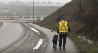 Illustration de l'article : Un homme aveugle désorienté après une nuit chaotique en taxi compte sur son chien guide pour le ramener à la maison