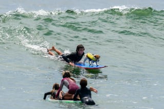 Illustration de l'article : Efruz, le Jack Russell Terrier qui surfe, fait sensation sur les plages du Pérou