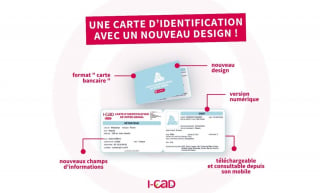 Illustration de l'article : L'I-CAD dématérialise les cartes d'identification des animaux de compagnie pour simplifier les démarches des propriétaires