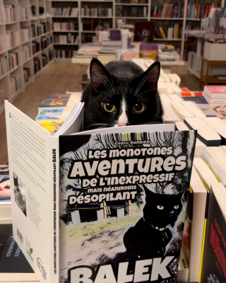 Illustration de l'article : Forte de son succès, la "ronron-librairie" Mon Chat Pitre entend faire des petits en lançant sa campagne de financement participatif