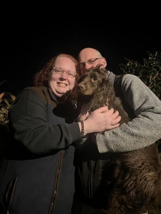 Illustration de l'article : Un chien proposé à un homme courageux reconnaît un Cocker volé deux semaines plus tôt à bord d'une fourgonnette