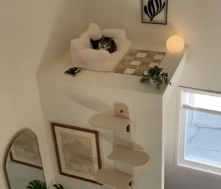 Illustration de l'article : Ce chat a droit à son propre salon inspiré de celui de ses propriétaires et il a de quoi faire des jaloux (vidéo)
