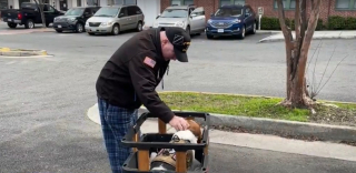 Illustration de l'article : Un vétéran de l'armée amoureux de sa chienne lui fabrique une remorque à vélo sur mesure qui disparaît, la communauté se mobilise