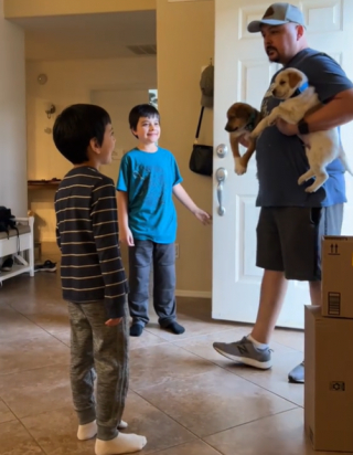 Illustration de l'article : L’émotion de 2 enfants comprenant que les chiens qu’ils avaient accueillis temporairement resteraient avec eux pour toujours (vidéo)