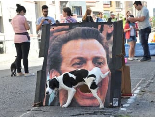 Illustration de l'article : 18 photos prouvant que les chiens peuvent être de véritables clowns