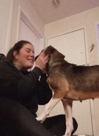 Illustration de l'article : La vidéo touchante d'une chienne de refuge qui comprend que sa famille d'accueil a décidé de l'adopter pour toujours