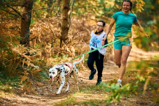 Illustration de l'article : Hill's s’associe à Canidays et devient le partenaire titre de cet évènement festif dédié au chien