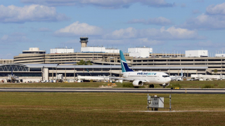 Illustration de l'article : Souhaitant lui aussi partir en voyage, ce chat embarque discrètement dans la voiture de sa grand-mère et disparaît dans le parking de l'aéroport