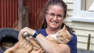 Illustration de l'article : Un chat cleptomane a pris la mauvaise habitude de voler les chaussures des habitants de son quartier