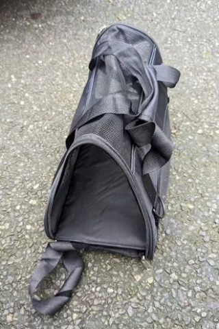 Illustration de l'article : Abandonnée sur un banc dans un sac de transport, cette jeune chatte noire a été retrouvée avec une note déchirante