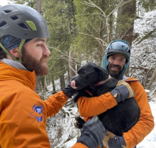 Illustration de l'article : Une chienne coincée sous une falaise après une chute de 20 mètres doit aussi survivre à une nuit glaciale