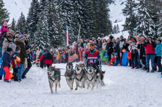 Illustration de l'article : Le coup d'envoi de la course de chiens de traîneaux La Grande Odyssée VVF 2024 donné à Megève dans une ambiance festive