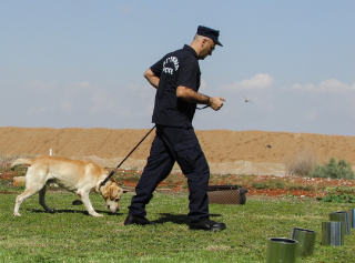 Illustration de l'article : Le destin hors du commun d'un chien de refuge repéré par les forces de l'ordre après avoir été abandonné