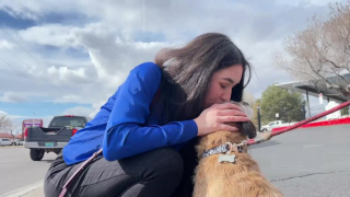 Illustration de l'article : Un chien prisonnier des flammes repéré par une voisine attentive et bienveillante qui vole aussitôt à son secours