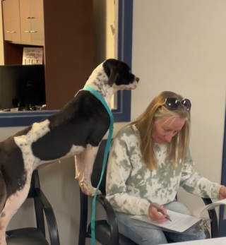 Illustration de l'article : L’immense joie d’une chienne de refuge en voyant sa nouvelle propriétaire signer ses papiers d’adoption (vidéo)