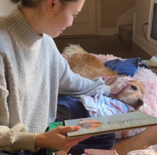 Illustration de l'article : Elle fond en larmes en déballant le cadeau offert par sa soeur lors du dernier Noël de leur chien (vidéo)