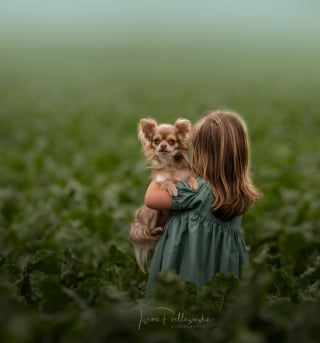 Illustration de l'article : 15 photos merveilleuses, montrant à quel point l’amitié entre les enfants et leurs compagnons à 4 pattes peut être belle