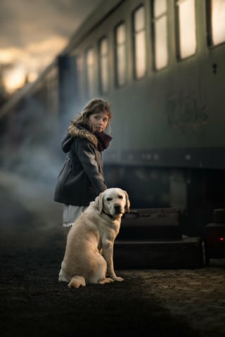 Illustration de l'article : 15 photos merveilleuses, montrant à quel point l’amitié entre les enfants et leurs compagnons à 4 pattes peut être belle