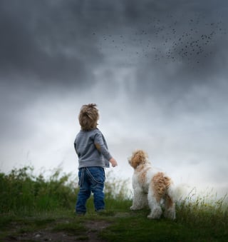 Illustration de l'article : 15 photos merveilleuses, montrant à quel point l’amitié entre les enfants et leurs compagnons à 4 pattes peut être belle