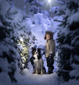 Illustration de l'article : 15 photos merveilleuses, montrant à quel point l’amitié entre les enfants et leurs compagnons à 4 pattes peut être belle