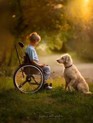 Illustration de l'article : 15 photos merveilleuses, montrant à quel point l’amitié entre les enfants et leurs compagnons à 4 pattes peut être belle