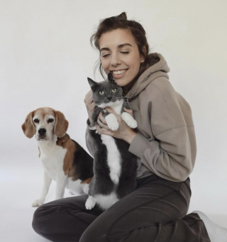 Illustration de l'article : Très amie avec sa sœur Beagle, cette petite chatte veut la suivre en promenade et sait le faire comprendre à leur maîtresse (vidéo)