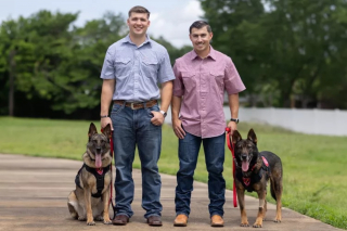 Illustration de l'article : 2 chiens militaires à la retraite retrouvent leurs maîtres respectifs après en avoir été séparés pendant 2 ans