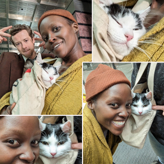 Illustration de l'article : Après avoir surmonté sa peur des félins sur le tournage de son dernier film, l'actrice Lupita Nyong'o décide d’adopter son propre chat dans un refuge