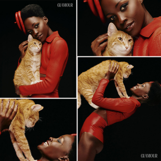 Illustration de l'article : Après avoir surmonté sa peur des félins sur le tournage de son dernier film, l'actrice Lupita Nyong'o décide d’adopter son propre chat dans un refuge